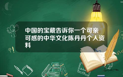 中国的宝藏告诉你一个可亲可感的中华文化陈丹丹个人资料