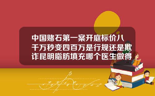 中国赌石第一案开庭标价八千万秒变四百万是行规还是欺诈昆明脂肪填充哪个医生做得好一点