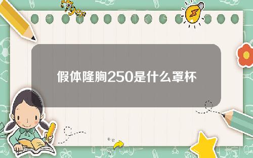 假体隆胸250是什么罩杯