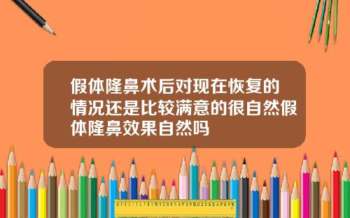 假体隆鼻术后对现在恢复的情况还是比较满意的很自然假体隆鼻效果自然吗