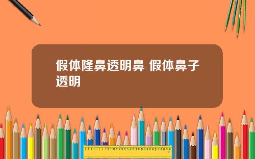 假体隆鼻透明鼻 假体鼻子透明
