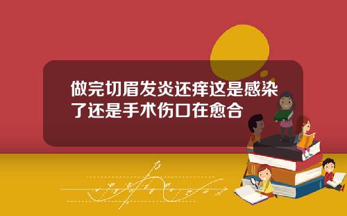 做完切眉发炎还痒这是感染了还是手术伤口在愈合