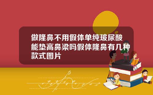 做隆鼻不用假体单纯玻尿酸能垫高鼻梁吗假体隆鼻有几种款式图片