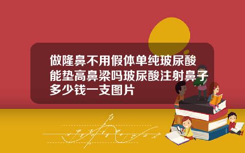 做隆鼻不用假体单纯玻尿酸能垫高鼻梁吗玻尿酸注射鼻子多少钱一支图片