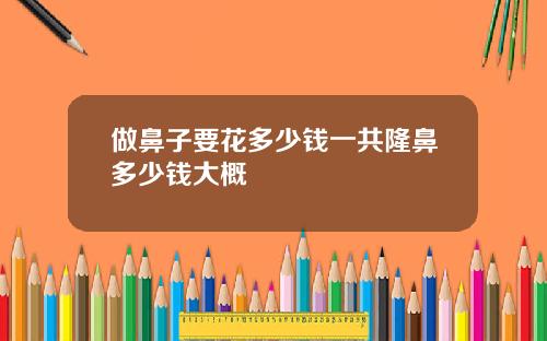做鼻子要花多少钱一共隆鼻多少钱大概