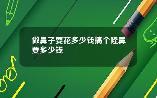 做鼻子要花多少钱搞个隆鼻要多少钱