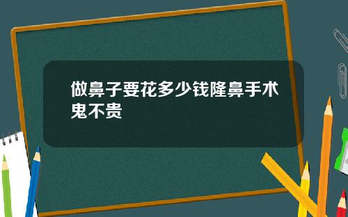 做鼻子要花多少钱隆鼻手术鬼不贵
