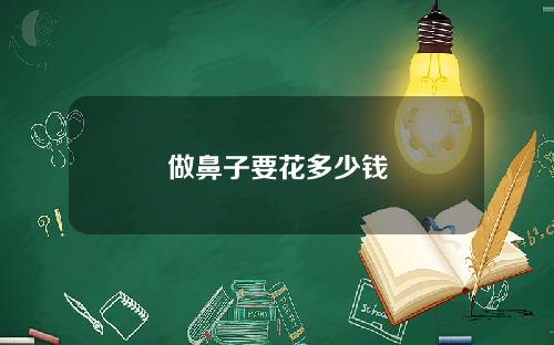 做鼻子要花多少钱