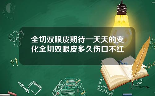 全切双眼皮期待一天天的变化全切双眼皮多久伤口不红