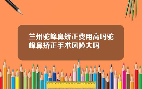 兰州驼峰鼻矫正费用高吗驼峰鼻矫正手术风险大吗