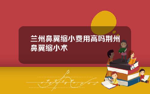兰州鼻翼缩小费用高吗荆州鼻翼缩小术