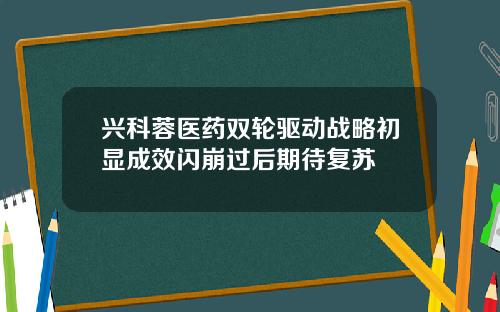 兴科蓉医药双轮驱动战略初显成效闪崩过后期待复苏