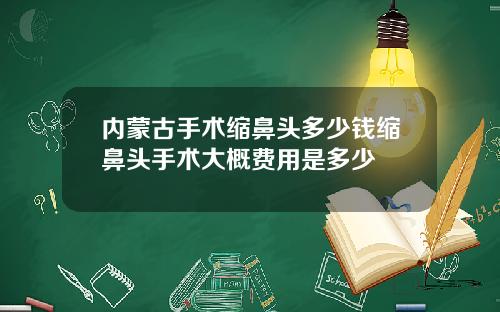 内蒙古手术缩鼻头多少钱缩鼻头手术大概费用是多少