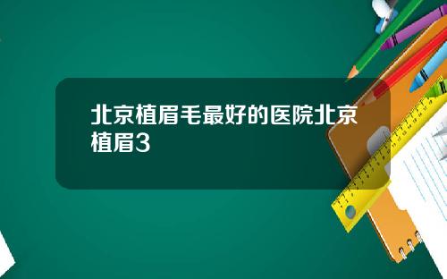 北京植眉毛最好的医院北京植眉3