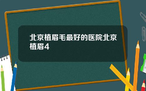 北京植眉毛最好的医院北京植眉4