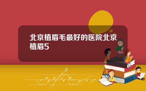 北京植眉毛最好的医院北京植眉5