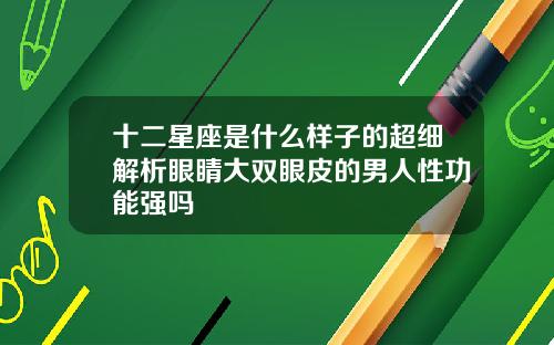 十二星座是什么样子的超细解析眼睛大双眼皮的男人性功能强吗