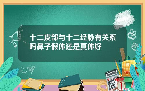 十二皮部与十二经脉有关系吗鼻子假体还是真体好