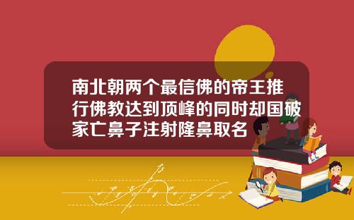 南北朝两个最信佛的帝王推行佛教达到顶峰的同时却国破家亡鼻子注射隆鼻取名
