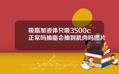 吸脂加液体只吸3500c正常吗抽脂会抽到肌肉吗图片