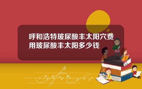 呼和浩特玻尿酸丰太阳穴费用玻尿酸丰太阳多少钱