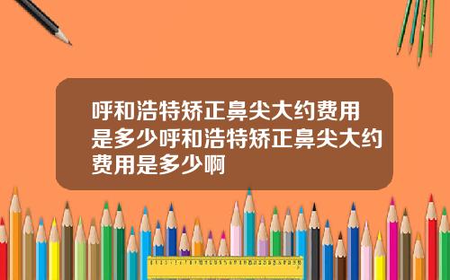 呼和浩特矫正鼻尖大约费用是多少呼和浩特矫正鼻尖大约费用是多少啊
