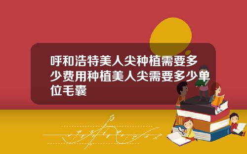 呼和浩特美人尖种植需要多少费用种植美人尖需要多少单位毛囊