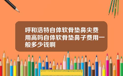 呼和浩特自体软骨垫鼻尖费用高吗自体软骨垫鼻子费用一般多少钱啊