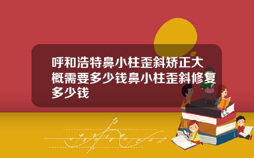 呼和浩特鼻小柱歪斜矫正大概需要多少钱鼻小柱歪斜修复多少钱
