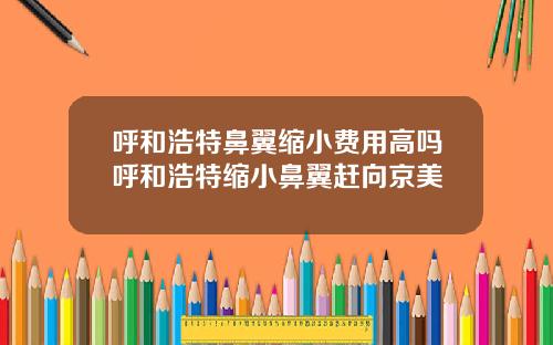 呼和浩特鼻翼缩小费用高吗呼和浩特缩小鼻翼赶向京美