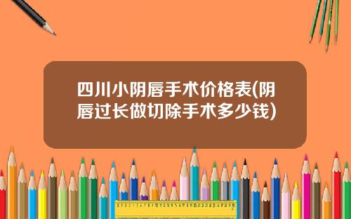 四川小阴唇手术价格表(阴唇过长做切除手术多少钱)