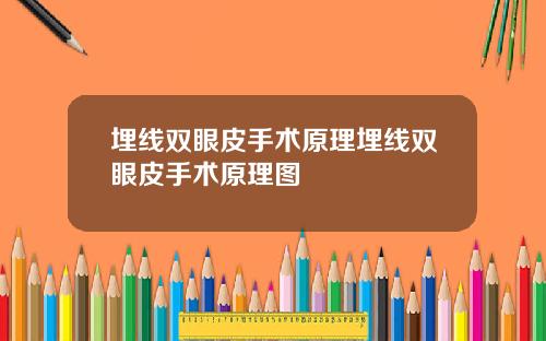 埋线双眼皮手术原理埋线双眼皮手术原理图