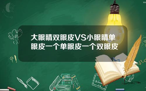 大眼睛双眼皮VS小眼睛单眼皮一个单眼皮一个双眼皮