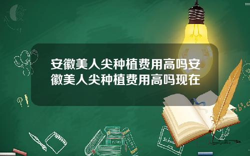安徽美人尖种植费用高吗安徽美人尖种植费用高吗现在