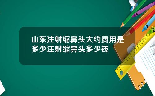 山东注射缩鼻头大约费用是多少注射缩鼻头多少钱