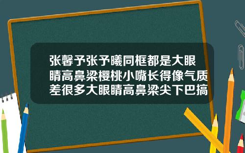 张馨予张予曦同框都是大眼睛高鼻梁樱桃小嘴长得像气质差很多大眼睛高鼻梁尖下巴搞笑图片