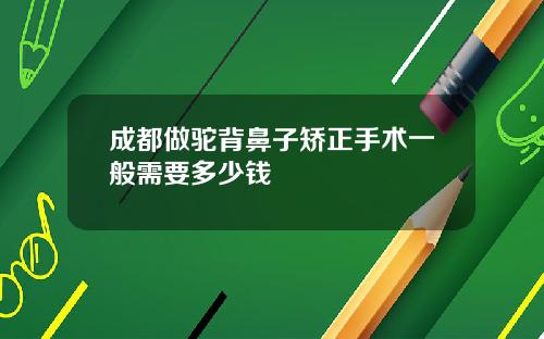 成都做驼背鼻子矫正手术一般需要多少钱