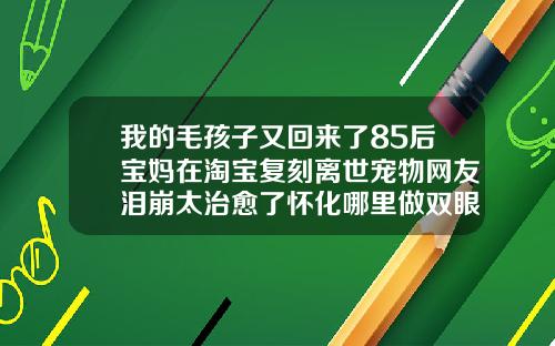 我的毛孩子又回来了85后宝妈在淘宝复刻离世宠物网友泪崩太治愈了怀化哪里做双眼皮好