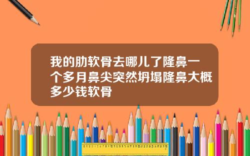 我的肋软骨去哪儿了隆鼻一个多月鼻尖突然坍塌隆鼻大概多少钱软骨