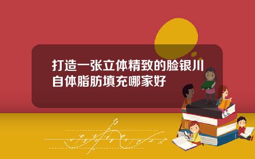 打造一张立体精致的脸银川自体脂肪填充哪家好