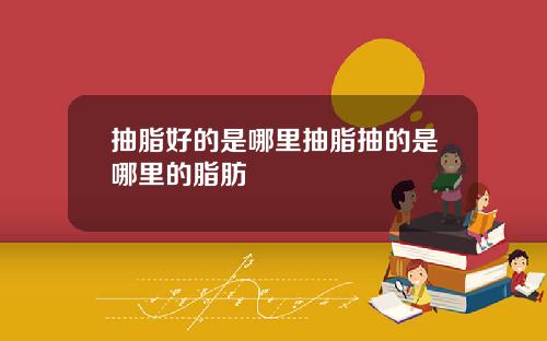 抽脂好的是哪里抽脂抽的是哪里的脂肪