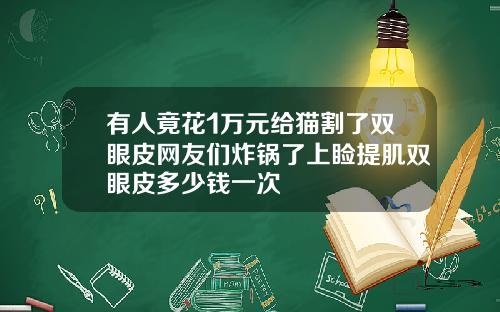 有人竟花1万元给猫割了双眼皮网友们炸锅了上睑提肌双眼皮多少钱一次