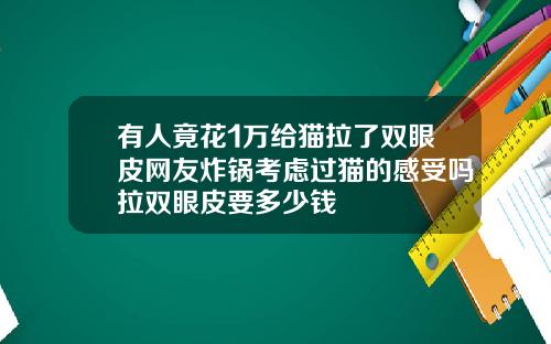 有人竟花1万给猫拉了双眼皮网友炸锅考虑过猫的感受吗拉双眼皮要多少钱