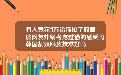 有人竟花1万给猫拉了双眼皮网友炸锅考虑过猫的感受吗韩国割双眼皮技术好吗