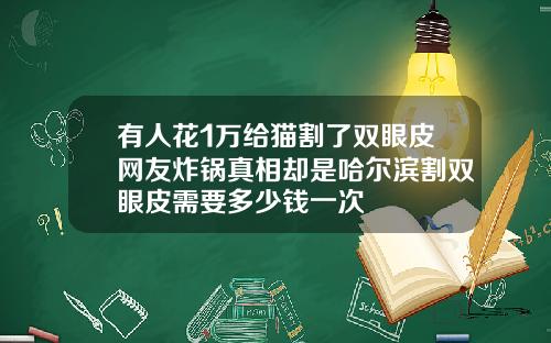 有人花1万给猫割了双眼皮网友炸锅真相却是哈尔滨割双眼皮需要多少钱一次