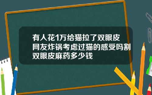 有人花1万给猫拉了双眼皮网友炸锅考虑过猫的感受吗割双眼皮麻药多少钱