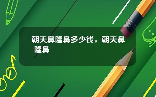 朝天鼻隆鼻多少钱，朝天鼻 隆鼻
