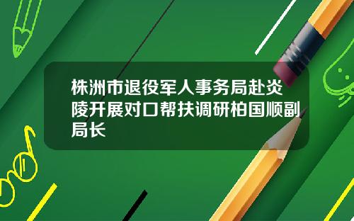 株洲市退役军人事务局赴炎陵开展对口帮扶调研柏国顺副局长