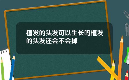 植发的头发可以生长吗植发的头发还会不会掉