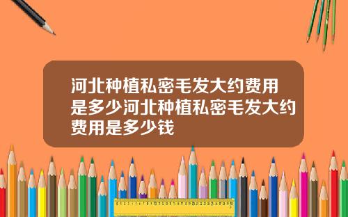 河北种植私密毛发大约费用是多少河北种植私密毛发大约费用是多少钱